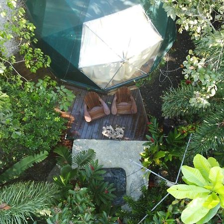 Momotus Glamping Hotel Florencia Kültér fotó