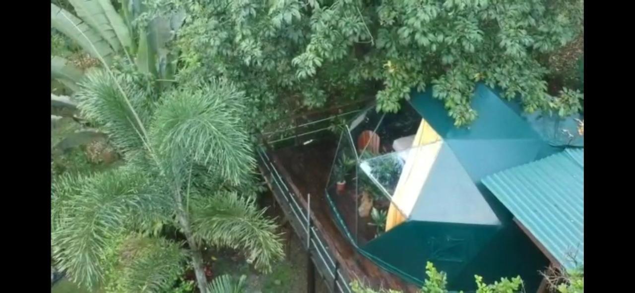 Momotus Glamping Hotel Florencia Kültér fotó