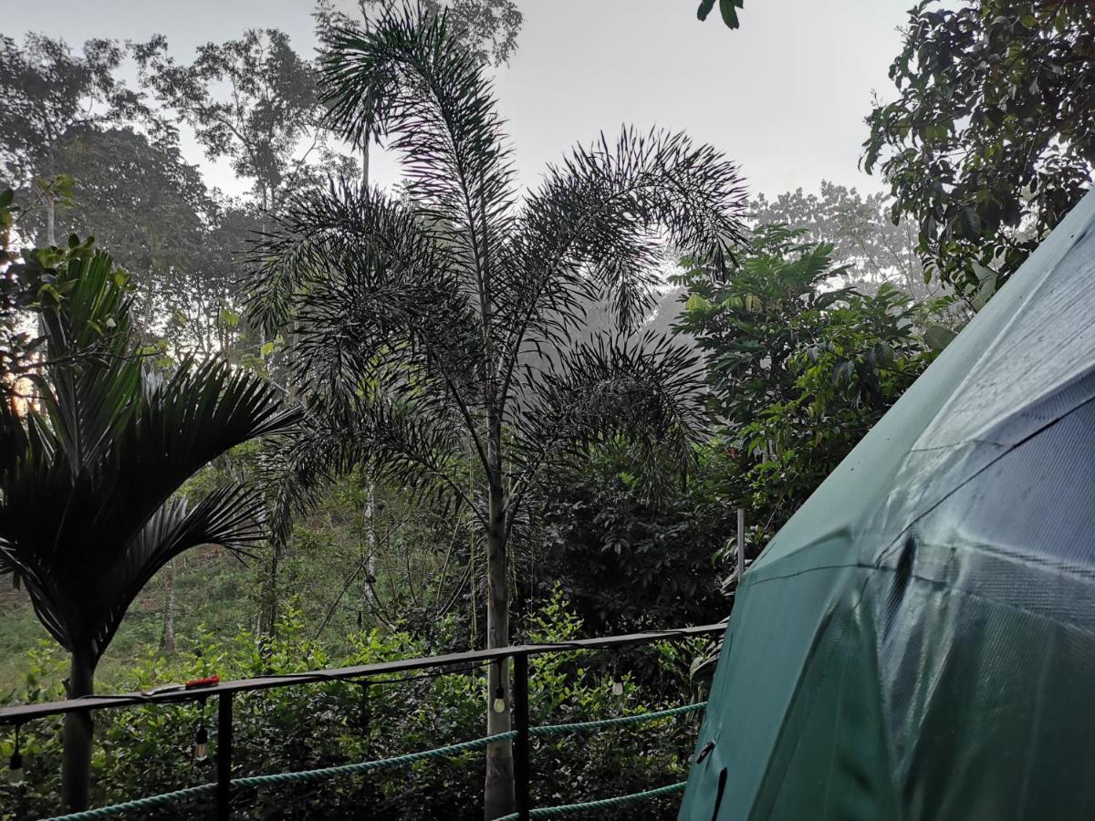 Momotus Glamping Hotel Florencia Kültér fotó