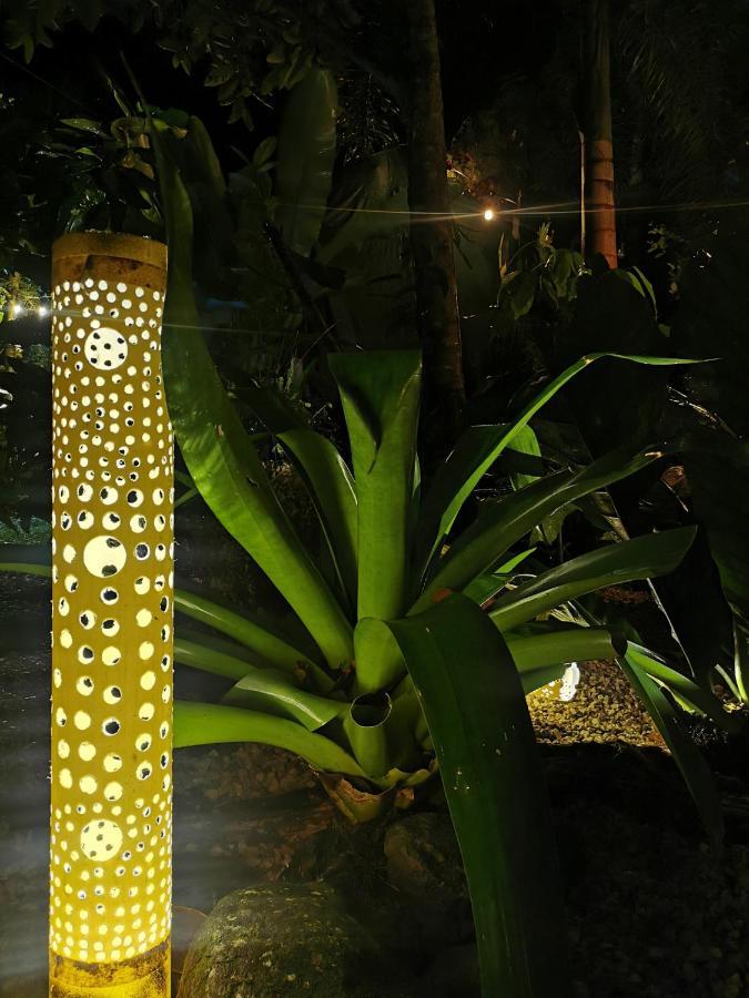 Momotus Glamping Hotel Florencia Kültér fotó