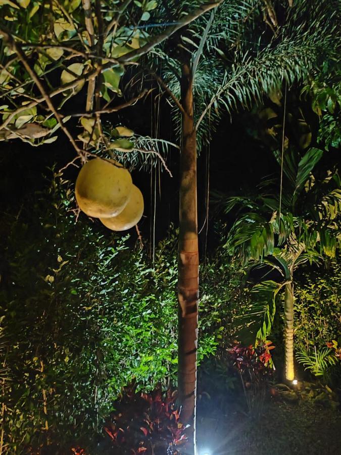 Momotus Glamping Hotel Florencia Kültér fotó