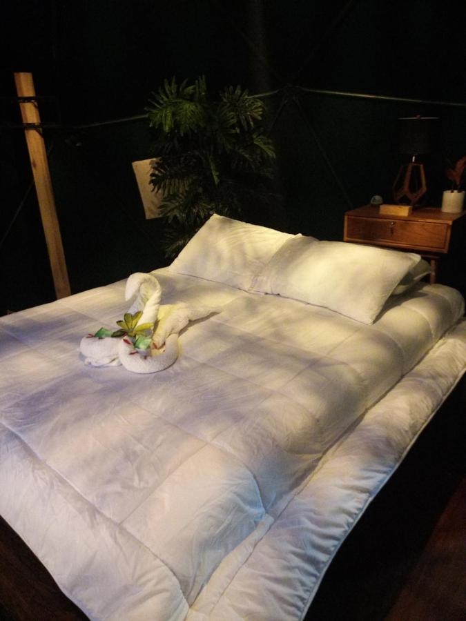 Momotus Glamping Hotel Florencia Kültér fotó