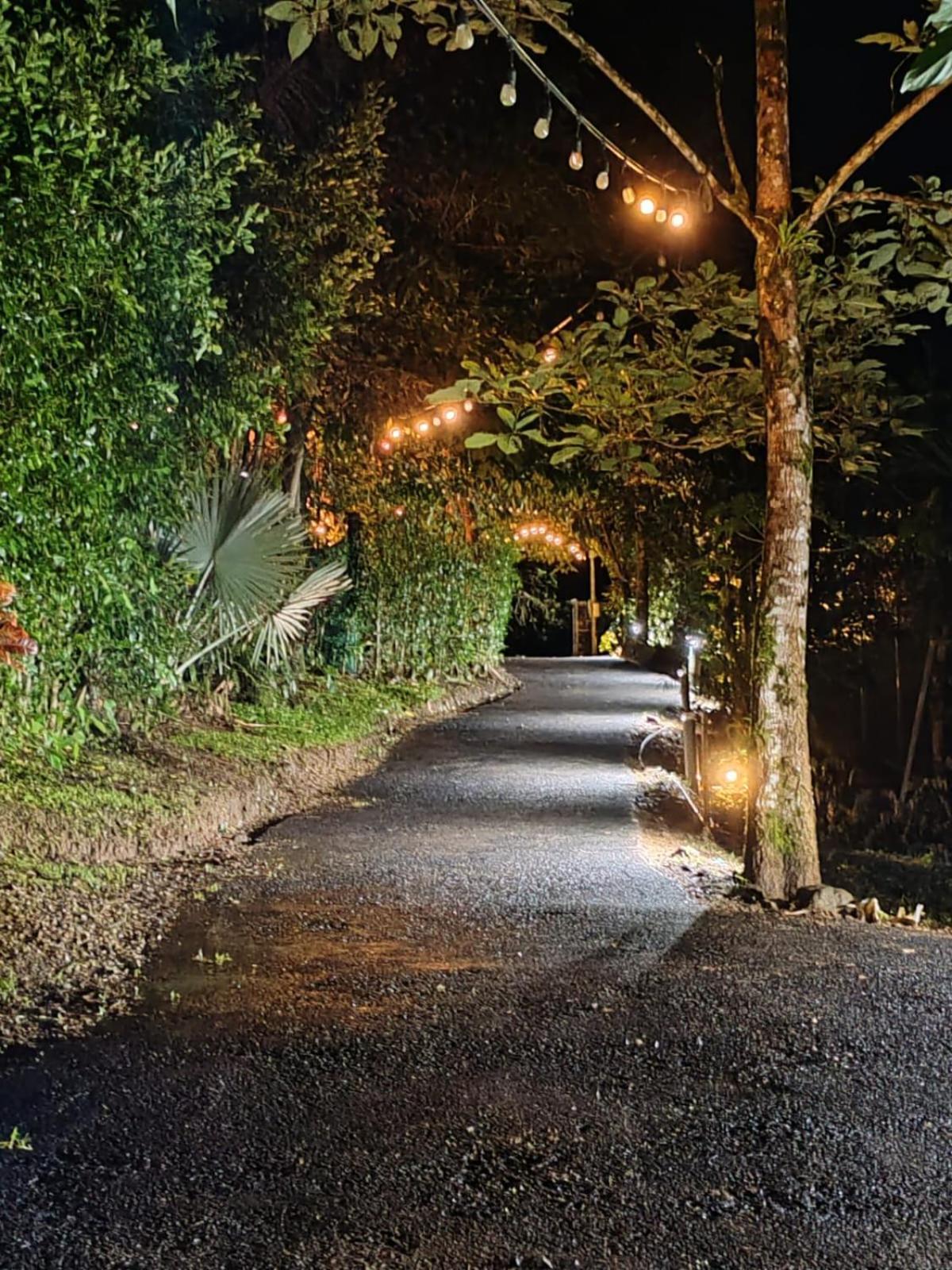 Momotus Glamping Hotel Florencia Kültér fotó